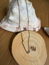 Load image into Gallery viewer, Brilla
