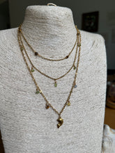 Load image into Gallery viewer, Salmon
