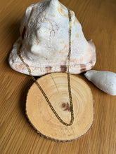 Load image into Gallery viewer, Matias
