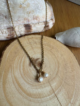 Load image into Gallery viewer, Gio
